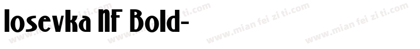Iosevka NF Bold字体转换